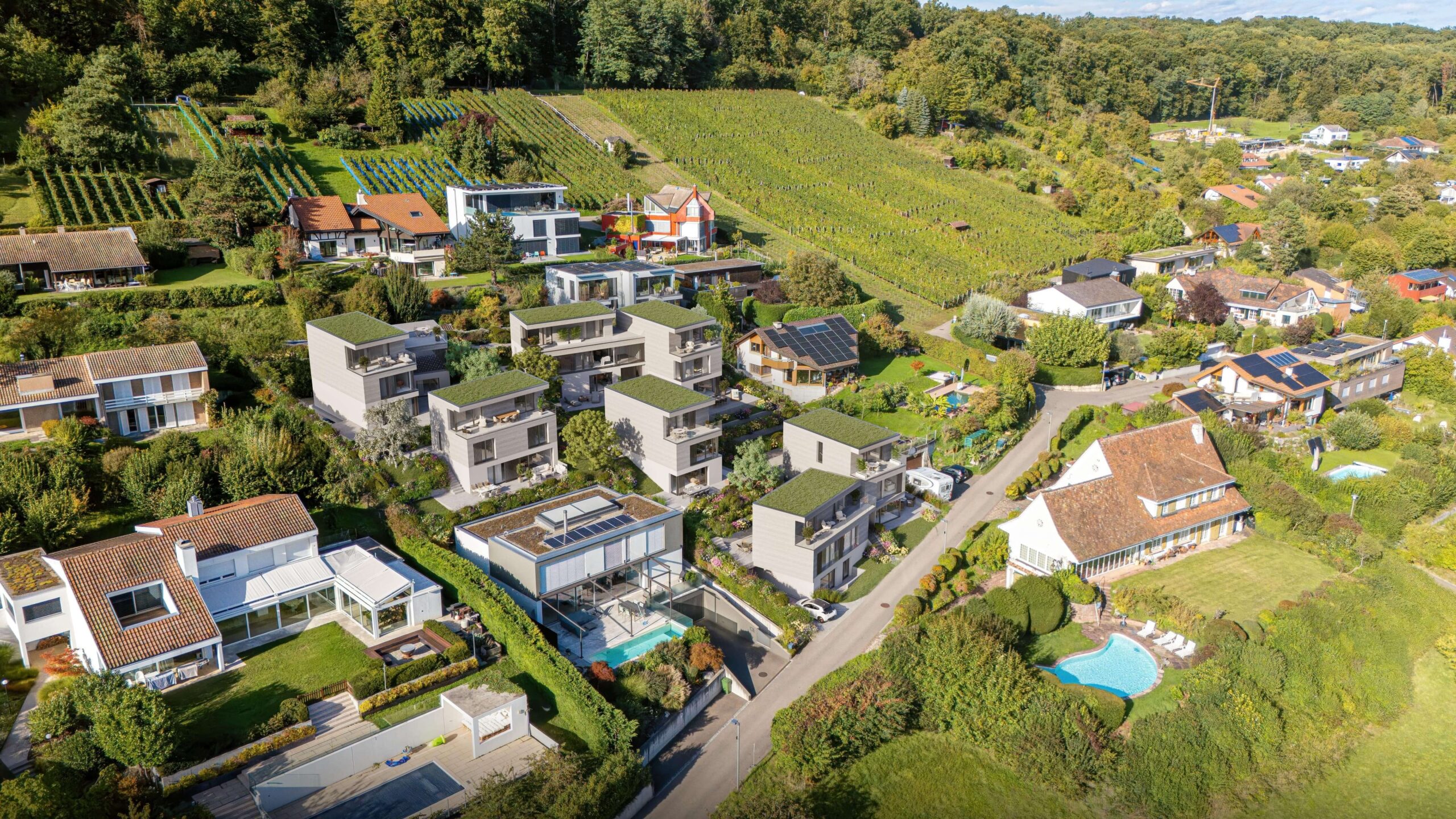 Luftaufnahme des Neubauprojekts Biel-Benken Panorama der Ernst Frey AG: moderne, terrassenförmig angeordnete Wohnhäuser mit begrünten Dächern, harmonisch eingebettet in eine grüne Hügellandschaft mit Weinreben und bestehenden Einfamilienhäusern. Das Ensemble verbindet zeitgemäße Architektur mit naturnaher Umgebung und weitläufigem Ausblick über Biel-Benken.